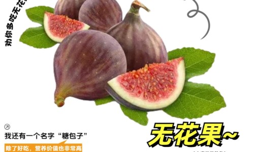 苓的功效与作用及禁忌症-苓技有什么作用、苓技有什么作用 -苓枝的功效网