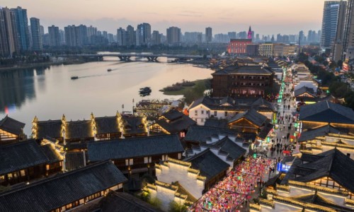 苓枝煲汤加什么材料-苓技有什么作用、苓技有什么作用 -苓枝的功效网