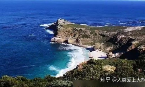 苓枝煲汤加什么材料-苓技有什么作用、苓技有什么作用 -苓枝的功效网