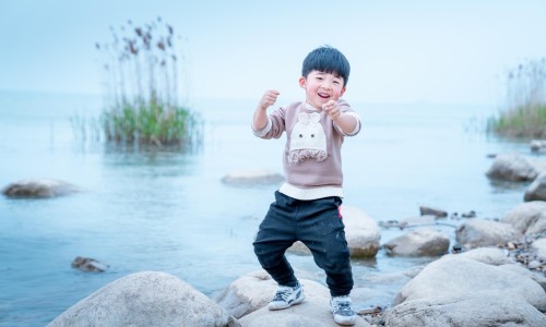 苓技有什么作用、苓技有什么作用 -苓枝的功效网